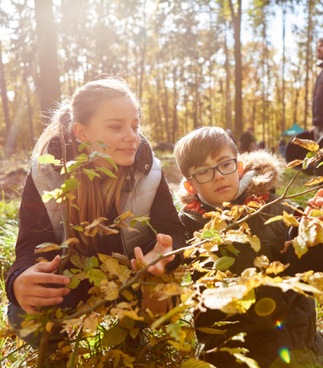 Atelier nature avec les animateurs de La Dame Blanche
